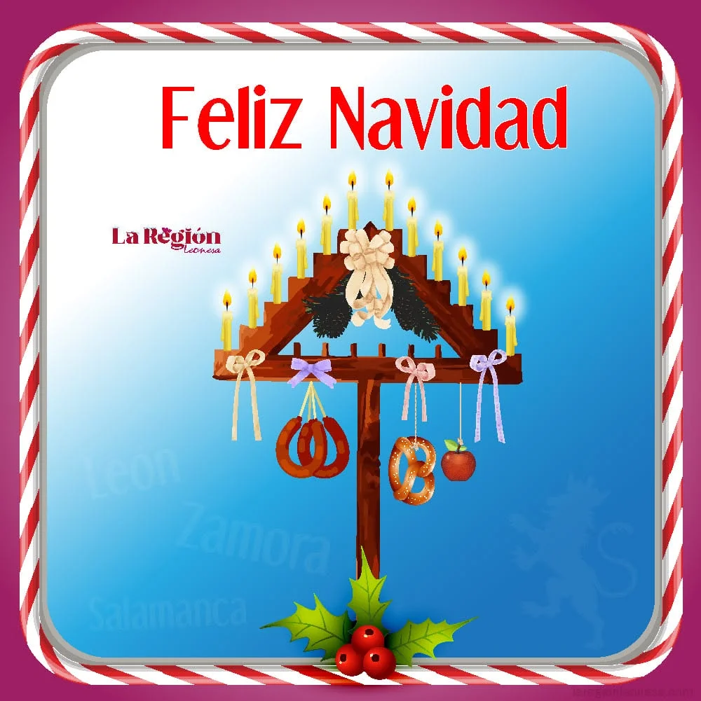 Diseño para redes